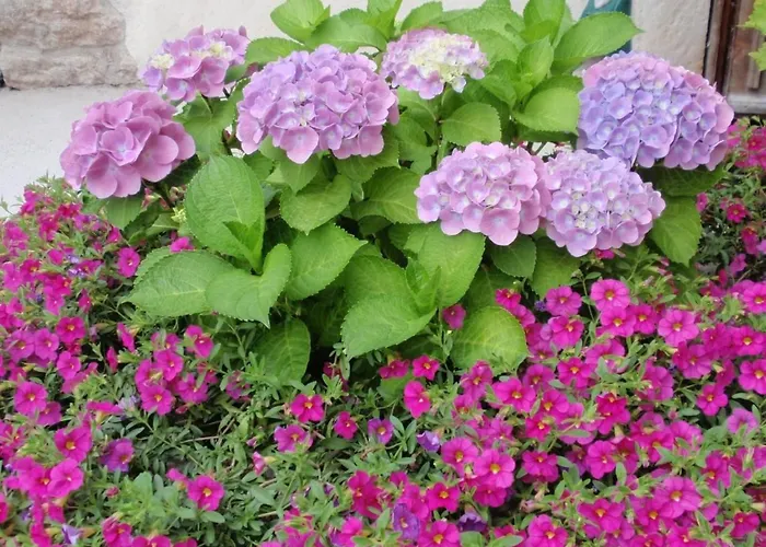 Traumhafter Rustico Direkt Am Ufer Des Gardasees By Interhome